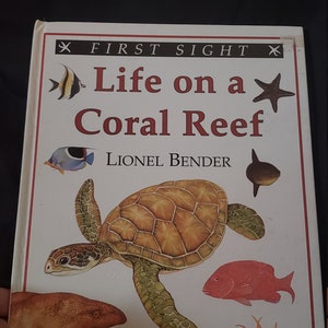 First Sight Life On A Coral Reef