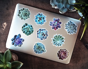 Photorealistic Succulent Stickers: Laptop Decals, Pack of 10