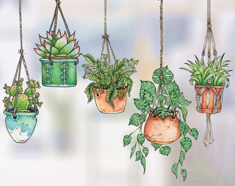 5x Illustrated Hanging Plant Window Sticker Decals | Stickers4 Watercolour Hanging Plant Window Stickers | Version 2