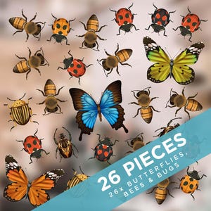 Insect Window Clings: Bees, Ladybugs, Butterflies, Beetles (Set of 26)