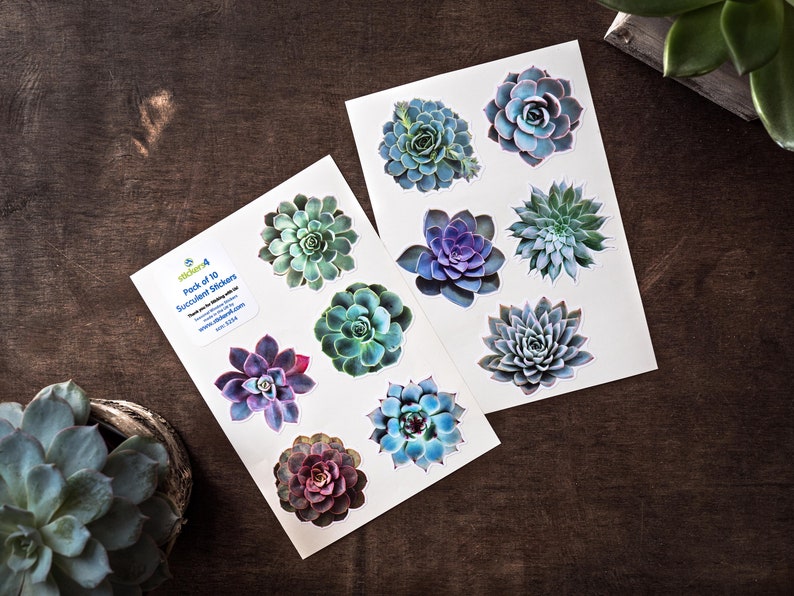 May include: Two sheets of stickers featuring 10 different succulent designs. The stickers are printed on white paper and have a glossy finish. The text on the sticker sheet reads "Pack of 10 Succulent Stickers".