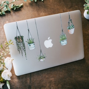 Illustrated Hanging Plant Laptop Stickers - Set of 5 - Succulent Stickers - Laptop Art