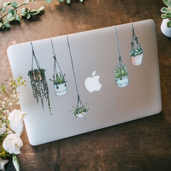 Illustrated Hanging Plant Laptop Stickers - Set of 5 - Succulent Stickers - Laptop Art