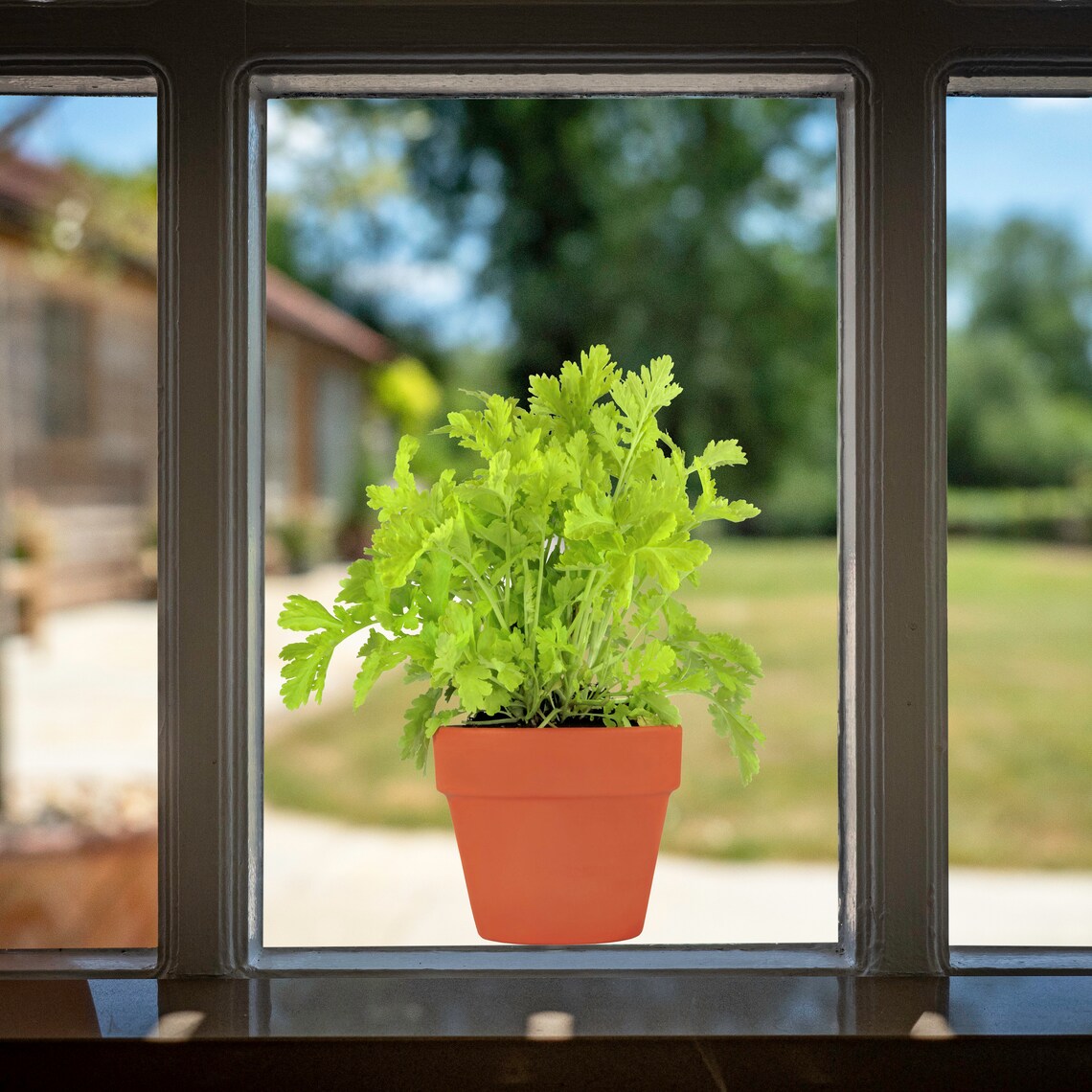 Herb Plant Pot Window Stickers with 14 Butterfly Window Clings Etsy