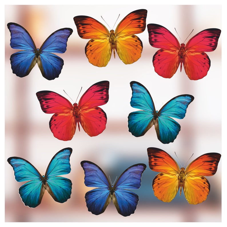 Large Beautiful Colourful Butterflies Cling Window Stickers Etsy UK