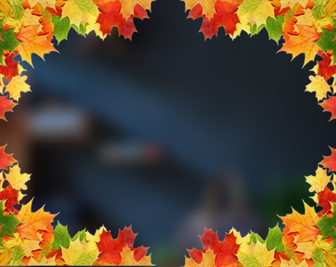 Illustrated Hanging Plant Laptop Stickers Set of 5 Etsy