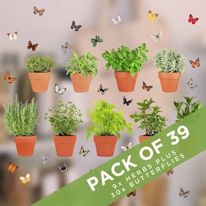 Könnte beinhalten: Ein Set mit 9 Topfkräutern und 30 Schmetterlingsaufklebern. Die Kräuter befinden sich in Terrakottatöpfen und die Schmetterlinge sind in verschiedenen Farben. Der Text auf dem Bild lautet "Pack of 39, 9x Herbs Plus 30x Butterflies".