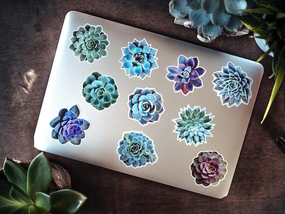 Photorealistic Succulent Stickers: Laptop Decals, Pack of 10