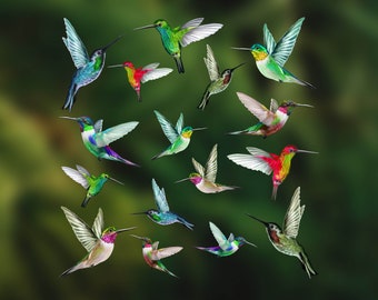 Set of 16 Mixed Size Humming Bird Window Stickers