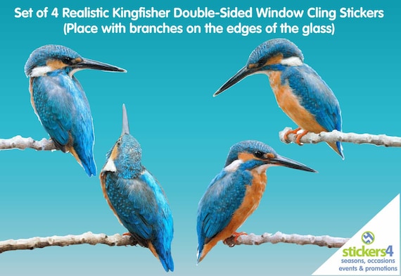 Set of 4 Photorealistic Kingfisher Window Cling Stickers 