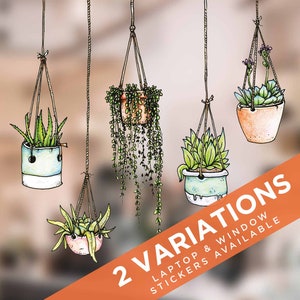 Illustrated Hanging Plant Laptop Stickers - Set of 5 - Succulent Stickers - Laptop Art
