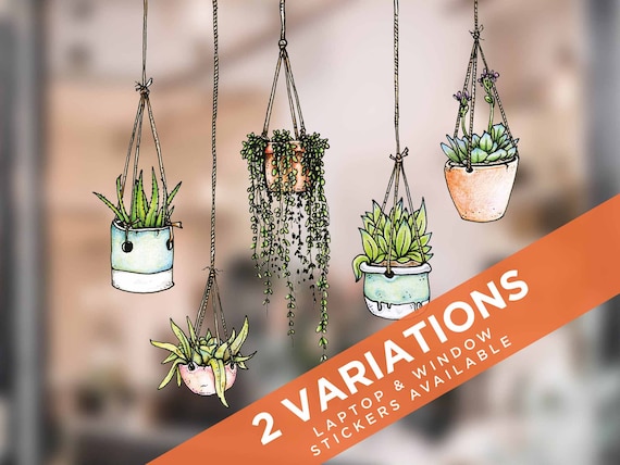 Illustrated Hanging Plant Stickers - Set of 5 - Laptop Art
