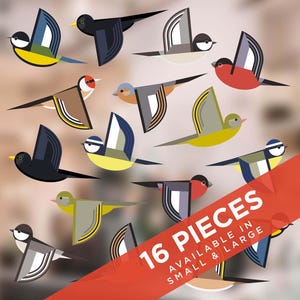 Bird Window Clings: Reusable Bird Strike Prevention Stickers