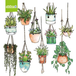 May include: A set of ten hanging plant illustrations featuring various plants in different colored pots. The plants are drawn in a whimsical style with green leaves and flowers. The pots are a mix of brown, blue, green, and white.