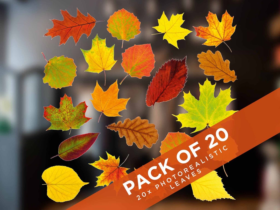 Adesivi Murali "Saldi Con Neve" - Misure 120x130 Cm - Vetrofanie Per Saldi Vetrine Negozi Stickers Adesivi Vetrofania Negozio - Foto 5