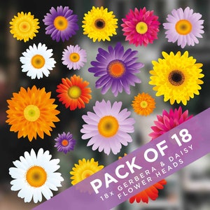 Könnte beinhalten: Eine Packung mit 18 künstlichen Blütenköpfen, darunter Gerbera und Gänseblümchen. Die Blüten sind in verschiedenen Farben, darunter Gelb, Orange, Lila, Rosa und Weiß. Die Blüten sind in Herzform auf einem violetten Hintergrund angeordnet, mit dem Text "Pack of 18 18x Gerbera & Daisy Flower Heads" auf einem weißen Banner.