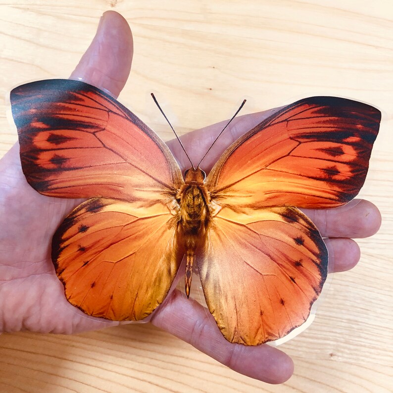 Large Beautiful Colourful Butterflies Cling Window Stickers Etsy UK