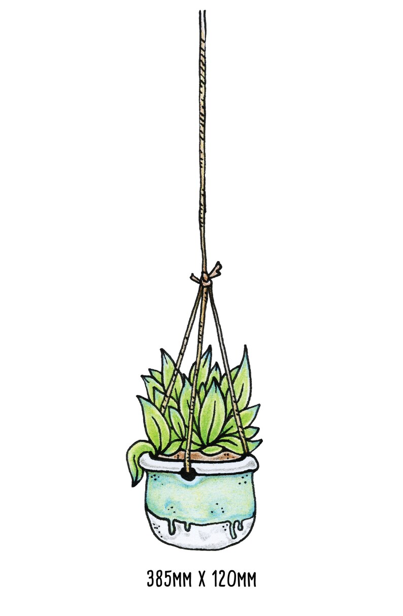 Illustrated Hanging Plants Window Stickers Reusable No Etsy UK