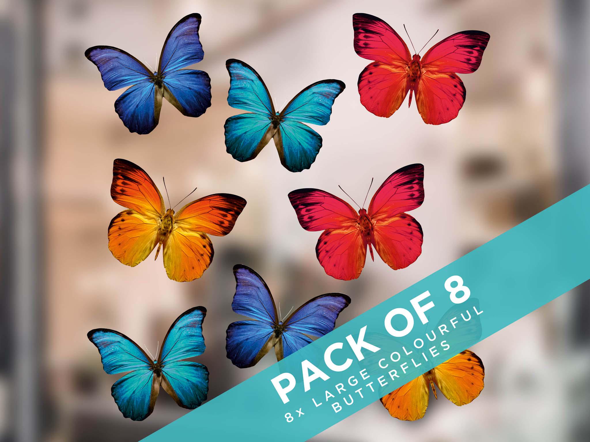Large Beautiful Colourful Butterflies Cling Window Stickers - Anti-collision window stickers help prevent bird-strikes