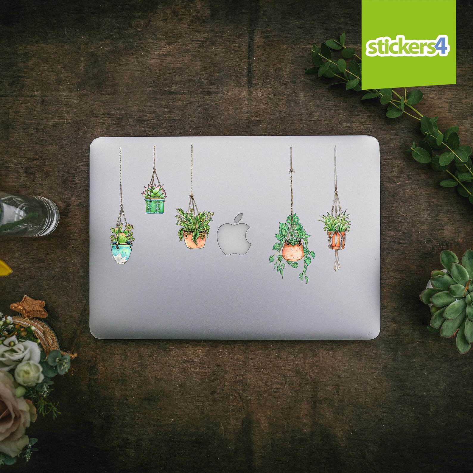 Illustrated Hanging Plant Laptop Stickers Set of 5 Etsy UK