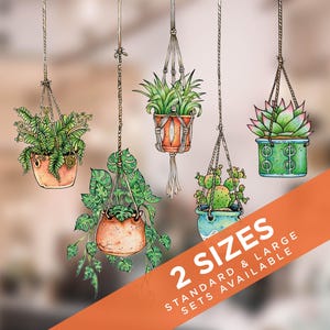 Puede incluir: Una colección de cinco plantas colgantes ilustradas en varias macetas, suspendidas por cuerdas. Las plantas incluyen un helecho, una monstera, una suculenta, un cactus y una suculenta en roseta. Una banda naranja muestra el texto 2 SIZES STANDARD & LARGE SETS AVAILABLE.