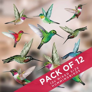 Set of 12 Mixed Size Humming Bird Window Stickers, Bird Strike Prevention Decorative Window Clings, Easy to Apply, Removable & Reusable
