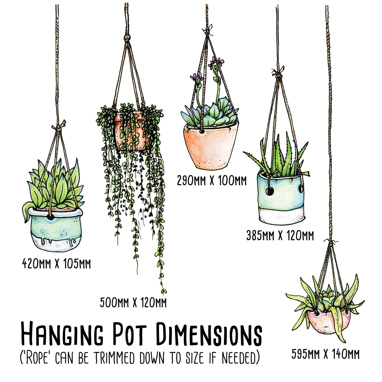 Illustrated Hanging Plants Window Stickers Reusable No Etsy