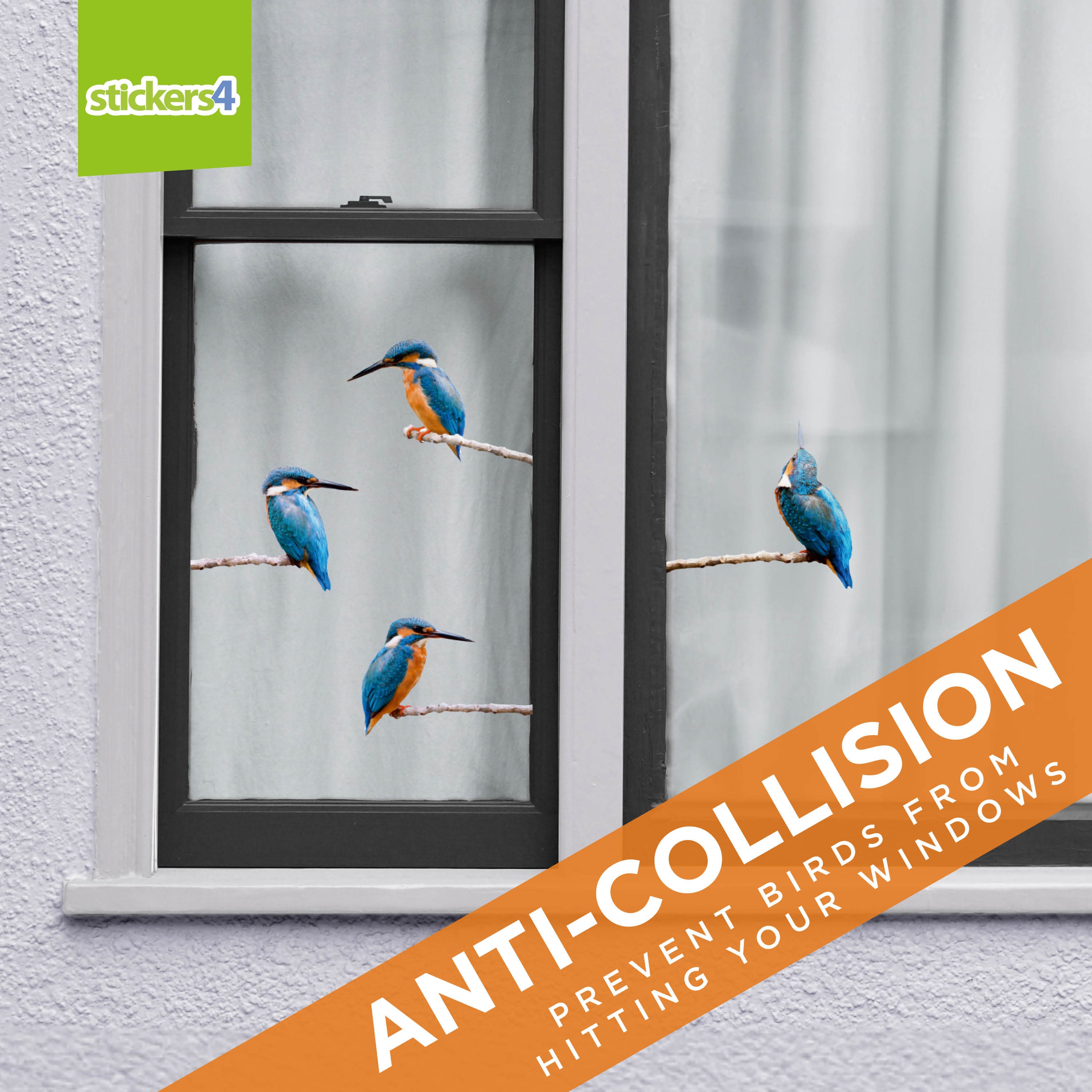 36 Stickers Fenêtre Anti-Collision Oiseaux - Grand Format PVC Électrostatique Noir - Protection Vitres