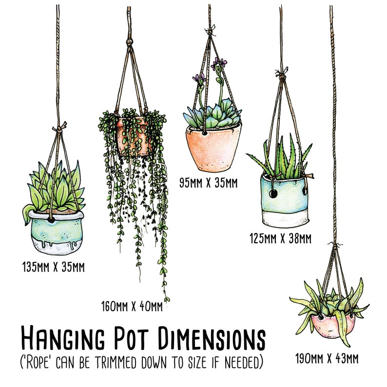 Illustrated Hanging Plant Laptop Stickers Set of 5 Etsy