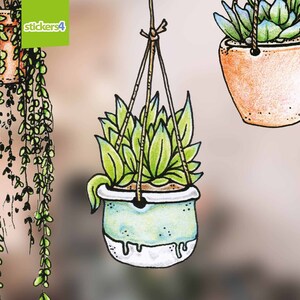 May include: A hand-drawn illustration of a hanging planter with a light blue pot and green succulent plant. The plant is hanging from a brown rope with a knot at the top.