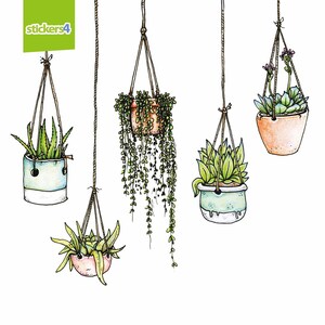 May include: Five hanging plants with different types of greenery in various colored pots. The pots are suspended from the ceiling by strings. The plants are in a white background.
