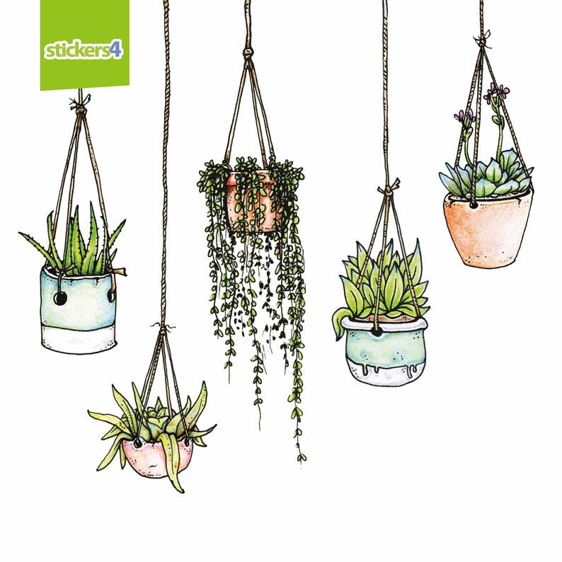 May include: Five hanging plants with different types of greenery in various colored pots. The pots are suspended from the ceiling by strings. The plants are in a white background.