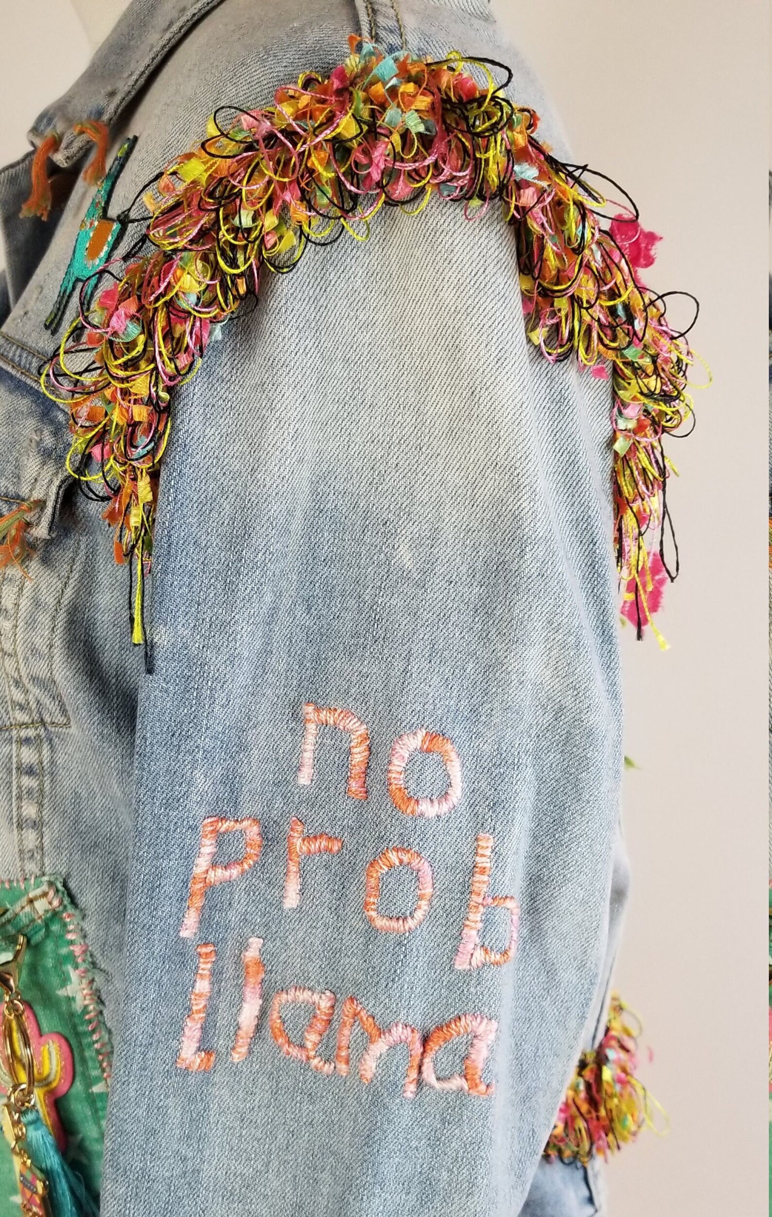 Llama Embroidered Denim Jean main image 0