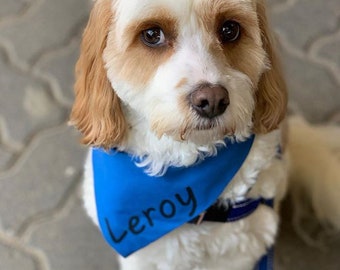 Custom solid colour dog bandana