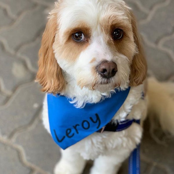 Dog Bandana Etsy Australia