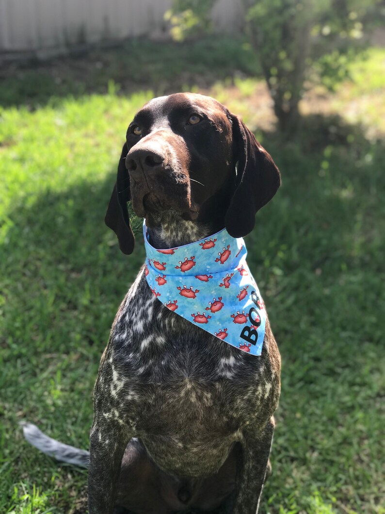 Crab dog bandana