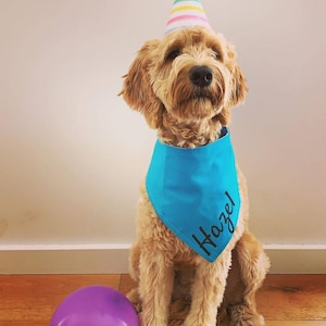 Custom solid colour dog bandana image 9