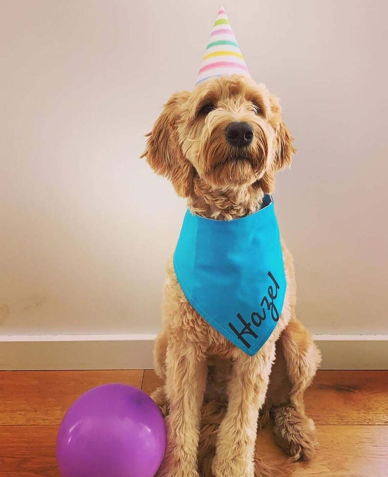 Custom solid colour dog bandana image 9