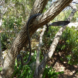 Hand Froged Hanging Pot Hook