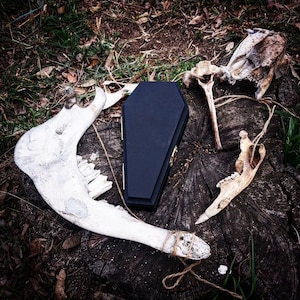 May include: A black wooden coffin-shaped box with a white bone-like object on top of it. The box is surrounded by animal bones on a dark brown wooden surface.
