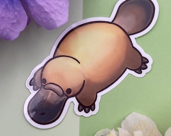Sticker ornithorynque| Art mignon d'ornithorynque | Autocollant brillant en vinyle |