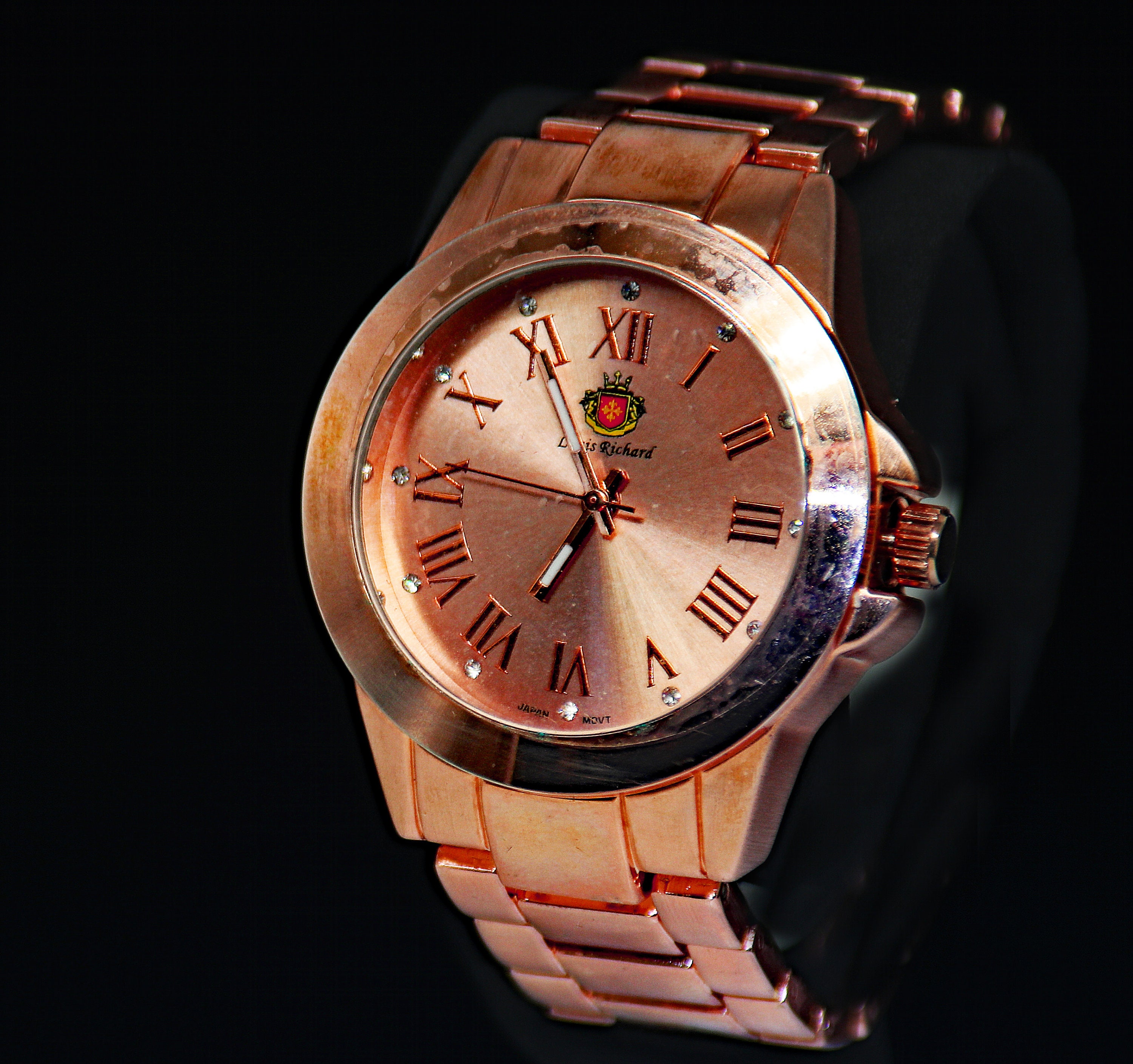 Louis richard women's felina watch hotsell