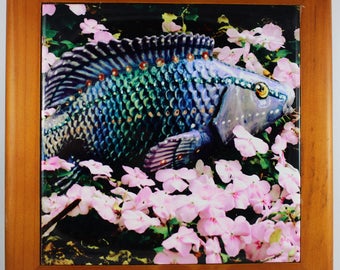 Koi in Pink Flower Stream Original Photography on Porcelain Tile 6X6