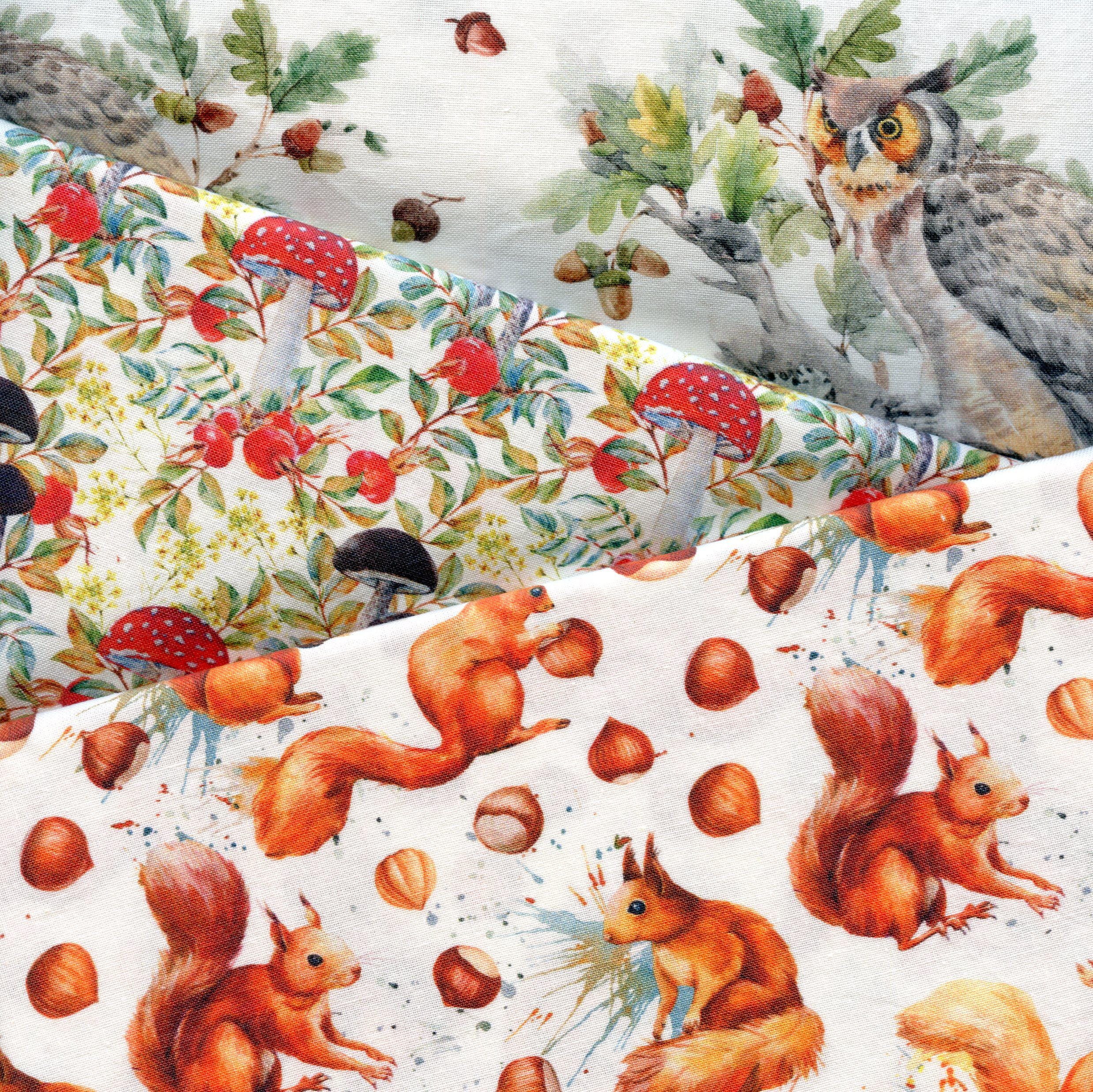SQUIRRELS, MUSHROOMS and OWLS - woodland themed fabric with cheeky red squirrels, mushrooms and  Eur
