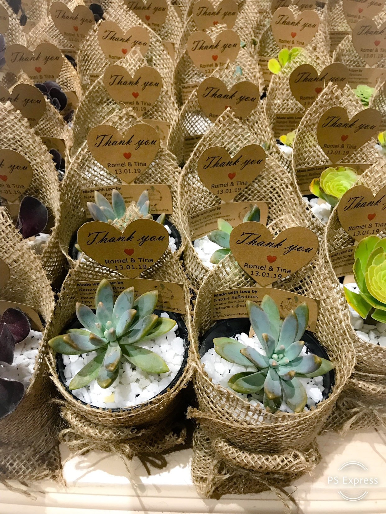 Angelique Heart-Shaped Succulent Wreath - Wedding Succulent Favors