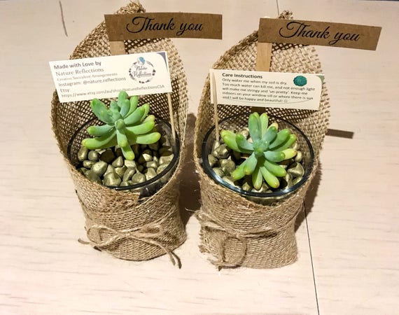 Succulent Wedding Favours, Bonbonnieres, Party Favours With Inscription  Flag and Care Instructions - Etsy