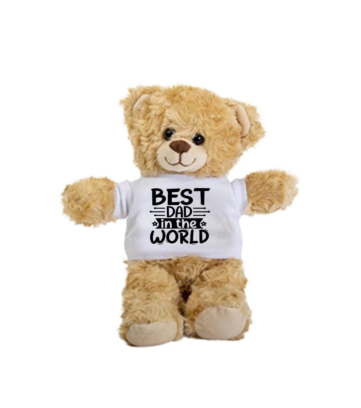 Best Dad in the World Teddy Bear Dad Gift Idea Gift for Dad Gift