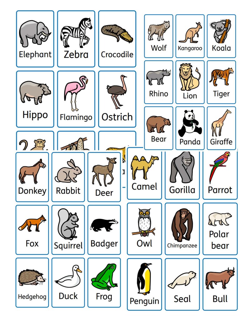 Animal Flashcards Autism SEN Now And Next Visual Aid Etsy