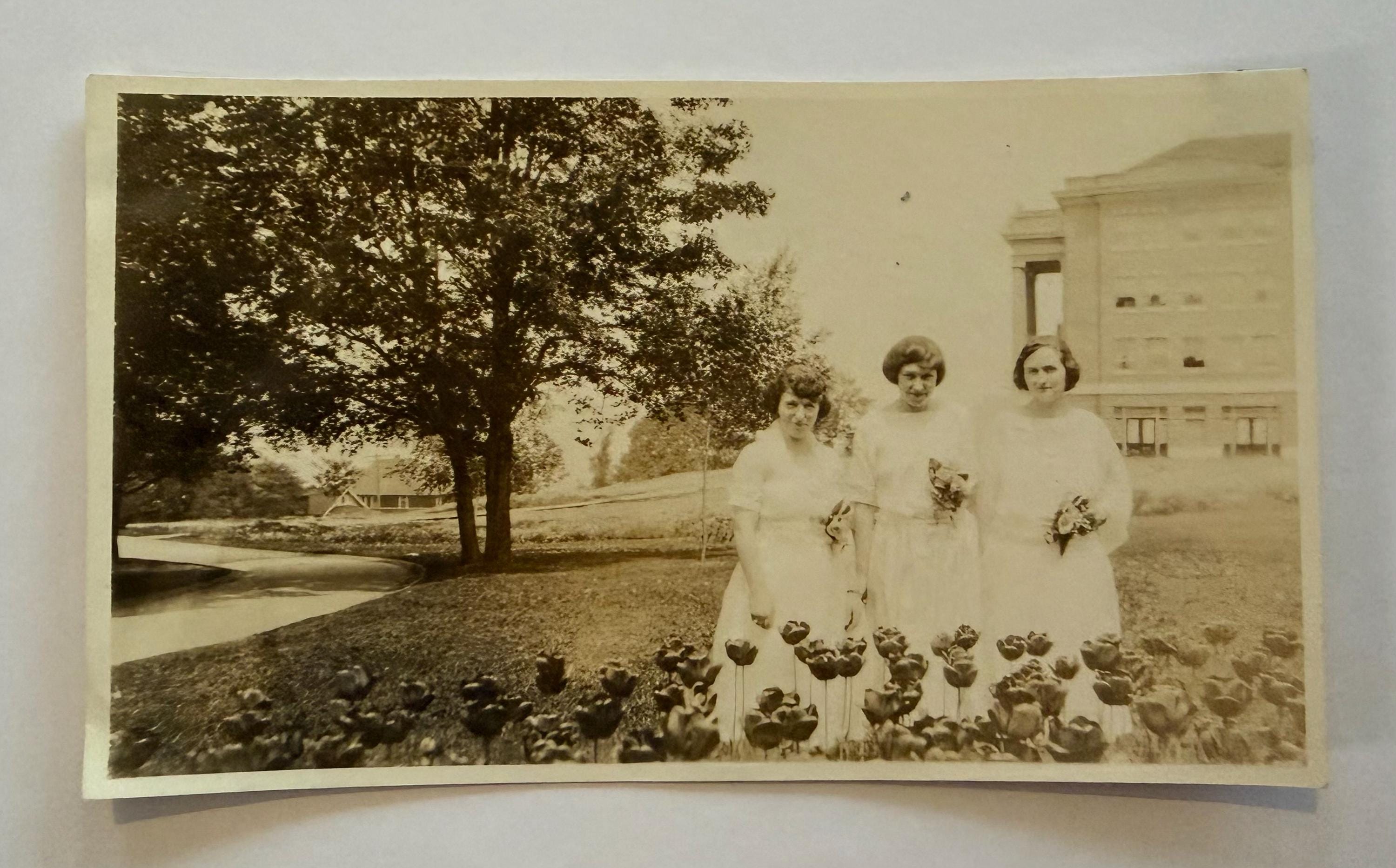 State Normal School - Etsy display picture 1
