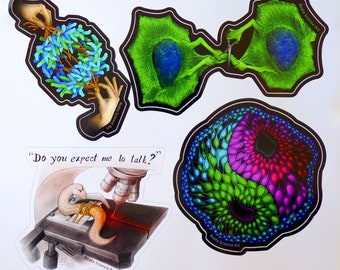 Science Art Stickers Set of 5 (Molecular Biology, Drawings, Mitosis, C elegans, Neurobiology, STEM, Teacher, Gift, PhD, Graduation)